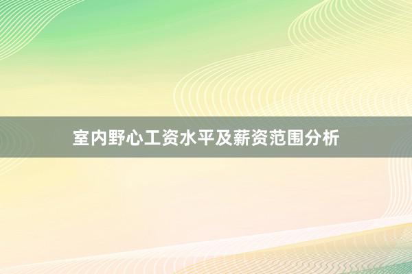 室内野心工资水平及薪资范围分析